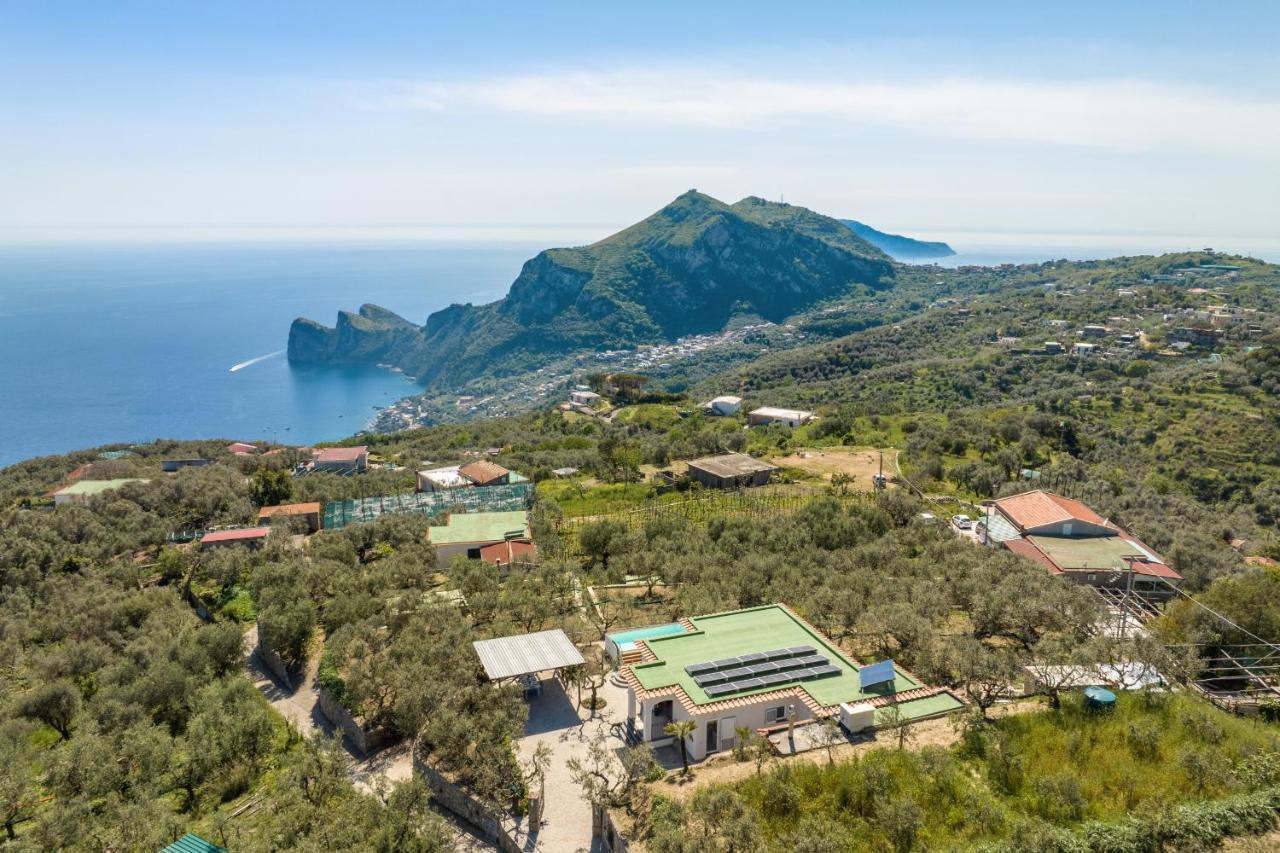 Villa Rusinella Minimalist Retreat With Sea Views Massa Lubrense Ngoại thất bức ảnh